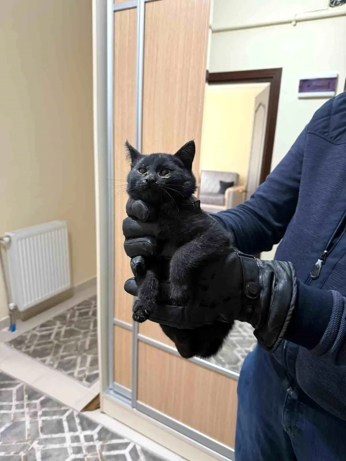 Konya Selçuklu’da Bacaya Sıkışan Kedi 6 Saatte Kurtarıldı