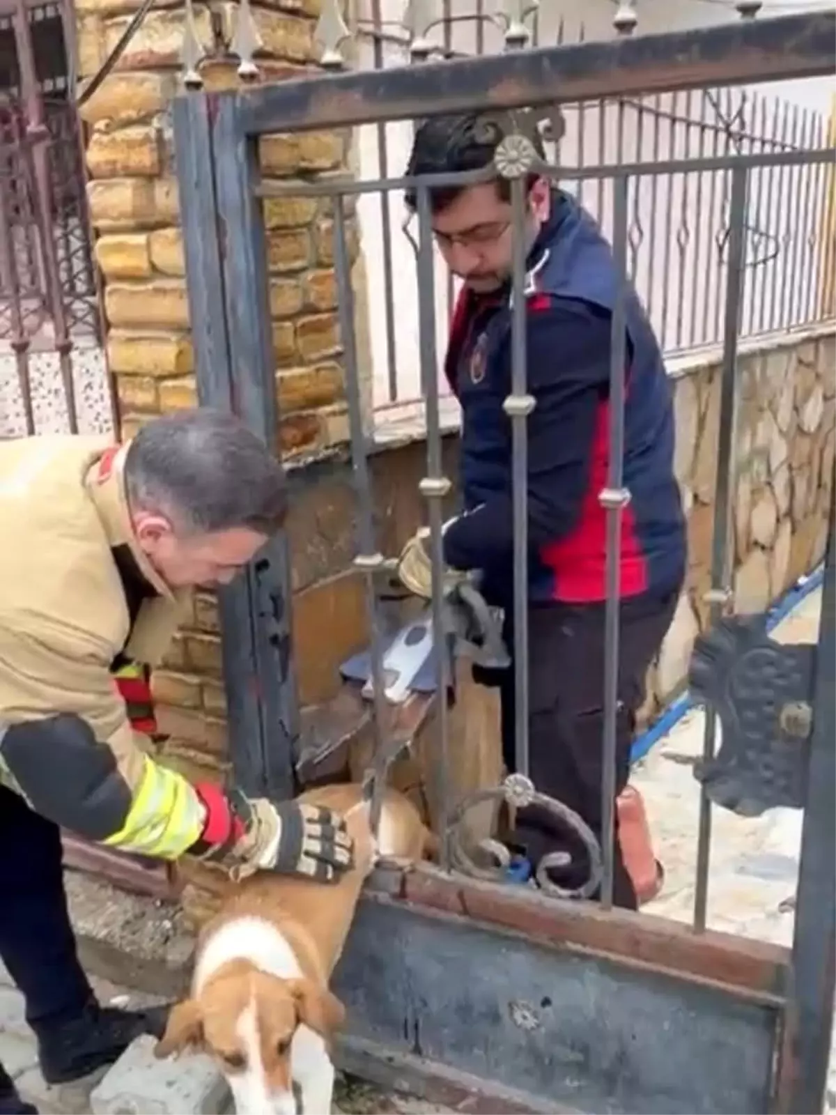 Hatay’da Demir Korkulukta Kalan Köpek, İtfaiye Ekiplerinin Özel Makinesiyle Kurtarıldı