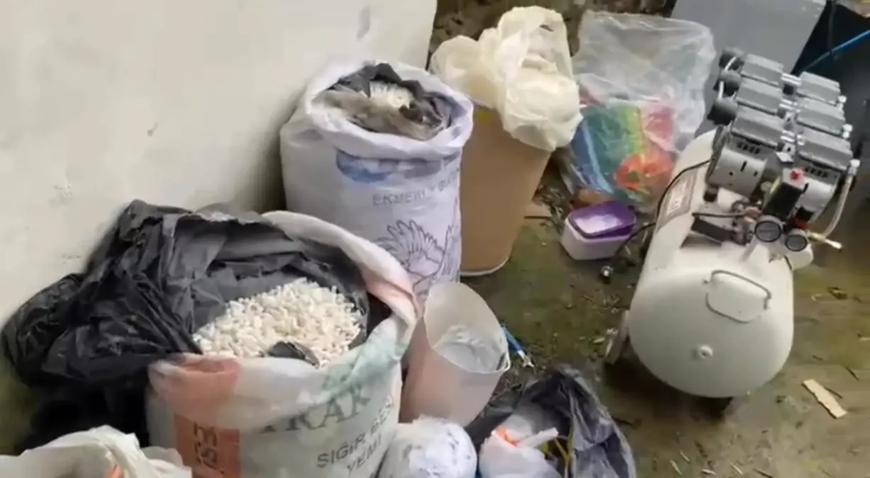 Edirne'de 117 Kilogram Uyuşturucu Ele Geçirildi: Beş Şüpheli Gözaltında