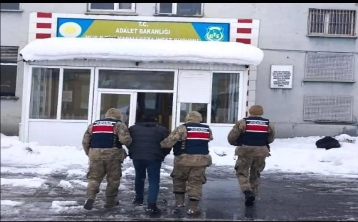 Hasköy'de Jandarma Operasyonu: 4 Yıl 2 Ay Hapis Cezalı Şahıs Yakalandı
