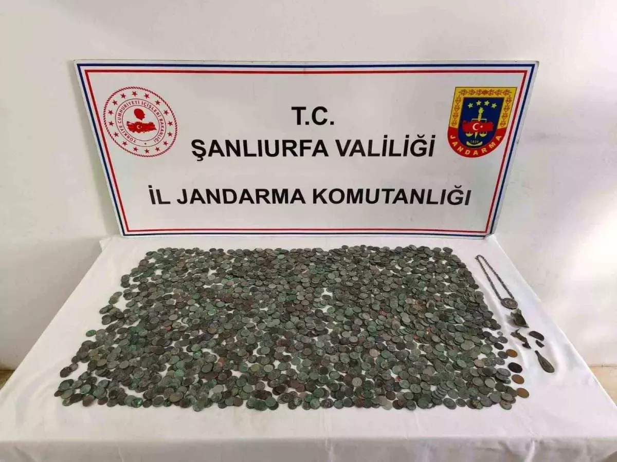 Şanlıurfa Ceylanpınar’da 2.638 Tarihi Eser Ele Geçirildi