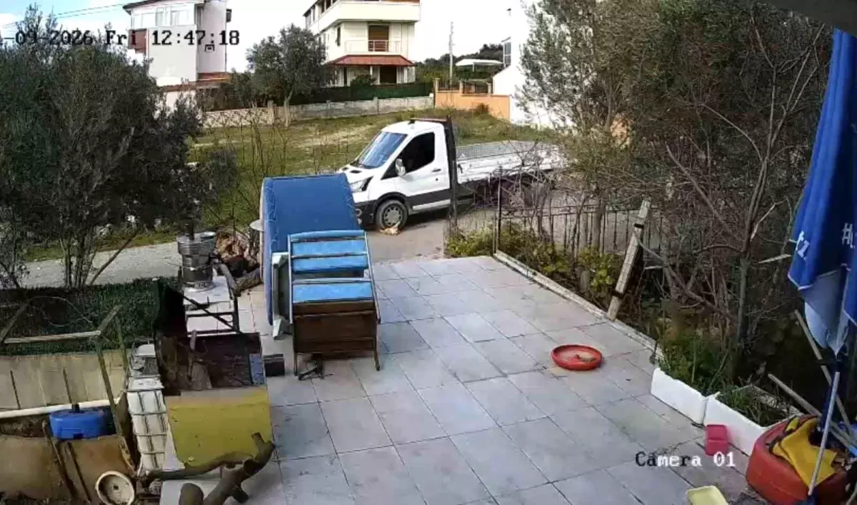 Seferihisar’da Kamyonet, Yolda Yatan Köpeği Ezdi