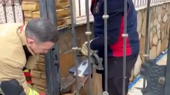 Hatay’da Demir Korkulukta Kalan Köpek, İtfaiye Ekiplerinin Özel Makinesiyle Kurtarıldı
