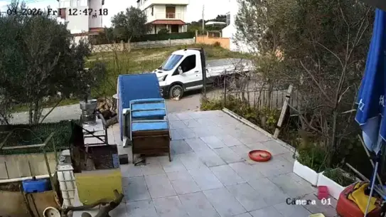 Köpeğin yolda yatan hali