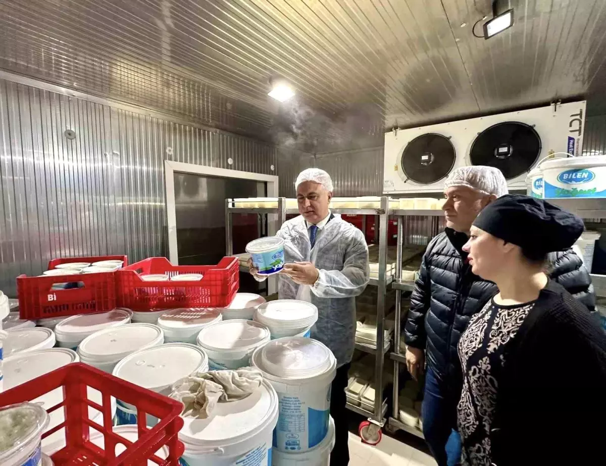 Hatay’da Süt Ürünleri Denetimi: Antakya Tesislerinde Hijyen Kontrolü