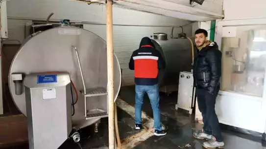 Altıntaş'ta Süt Soğutma Tankları Hijyen Denetimi: Sağlıklı Süt İçin Kritik Kontroller