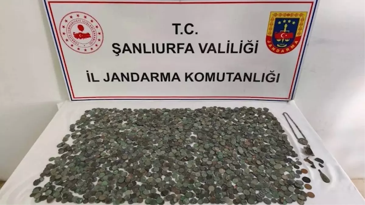 Şanlıurfa'nın Ceylanpınar İlçesinde Jandarma, 2.644 Tarihi Eseri Ele Geçirdi