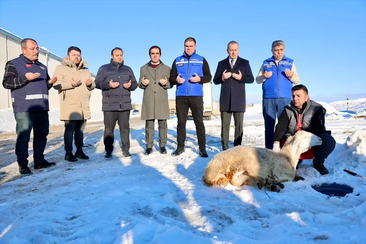 Sivas’ta Yoğun Kar Sonrası Şükür Kurbanı Etkinliği