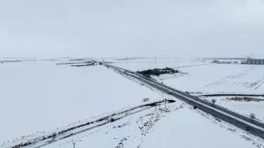 Kar yağışı sonrası yeşeren tarlalar