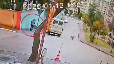 Adana’da sokakta beklenmedik bir karşılaşma: Kurt köpekleri kadına saldırdı