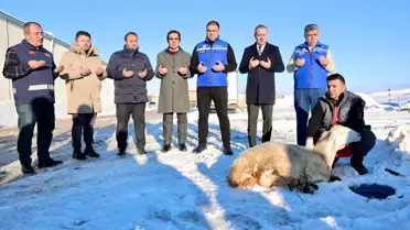 Şükür kurbanı kesimi anı