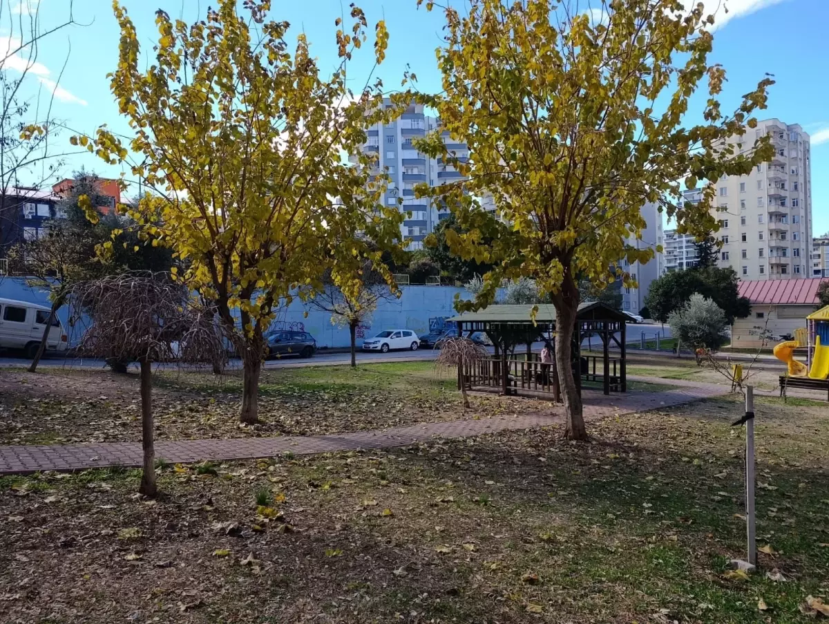 Adana’da Sahipsiz Köpeklerin Evcil Köpeğe Saldırısı Kadının Dikkatsizliğiyle Bağlantılı