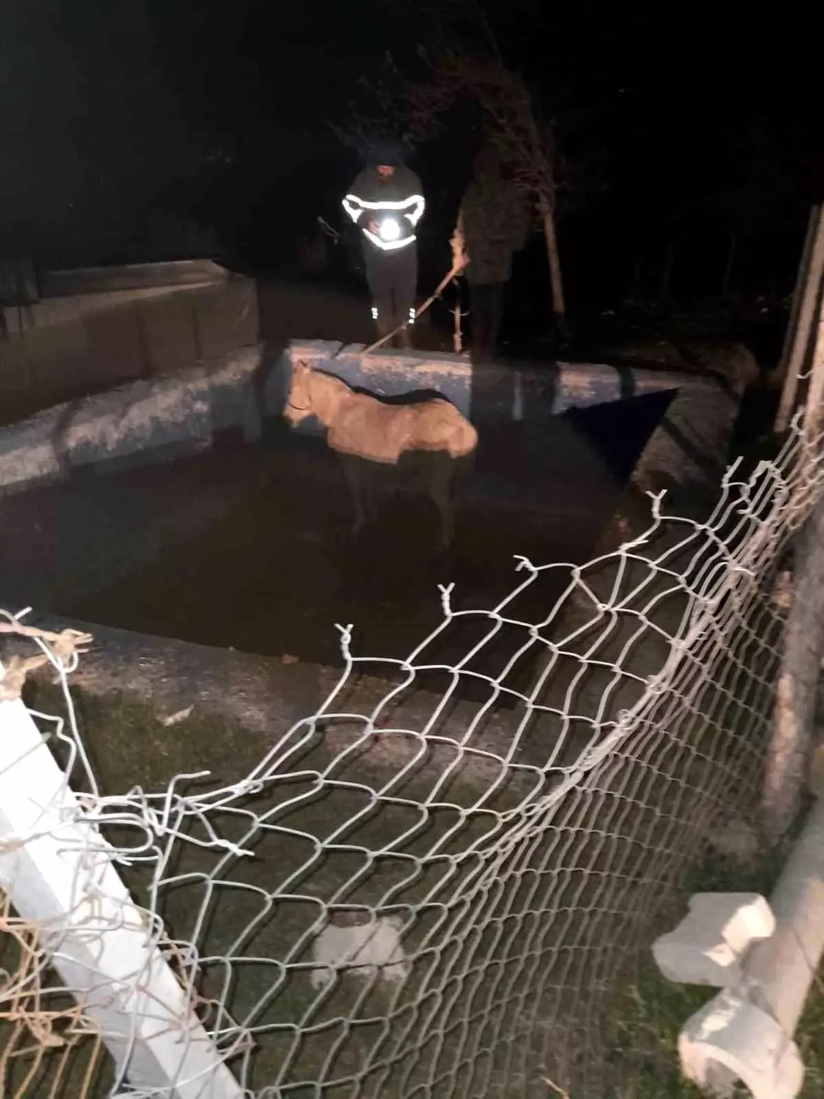 Hatay’da Belen İlçesinde Sulama Havuzuna Düşen At, İtfaiye Ekiplerinin Hızlı Müdahalesiyle Kurtarıldı