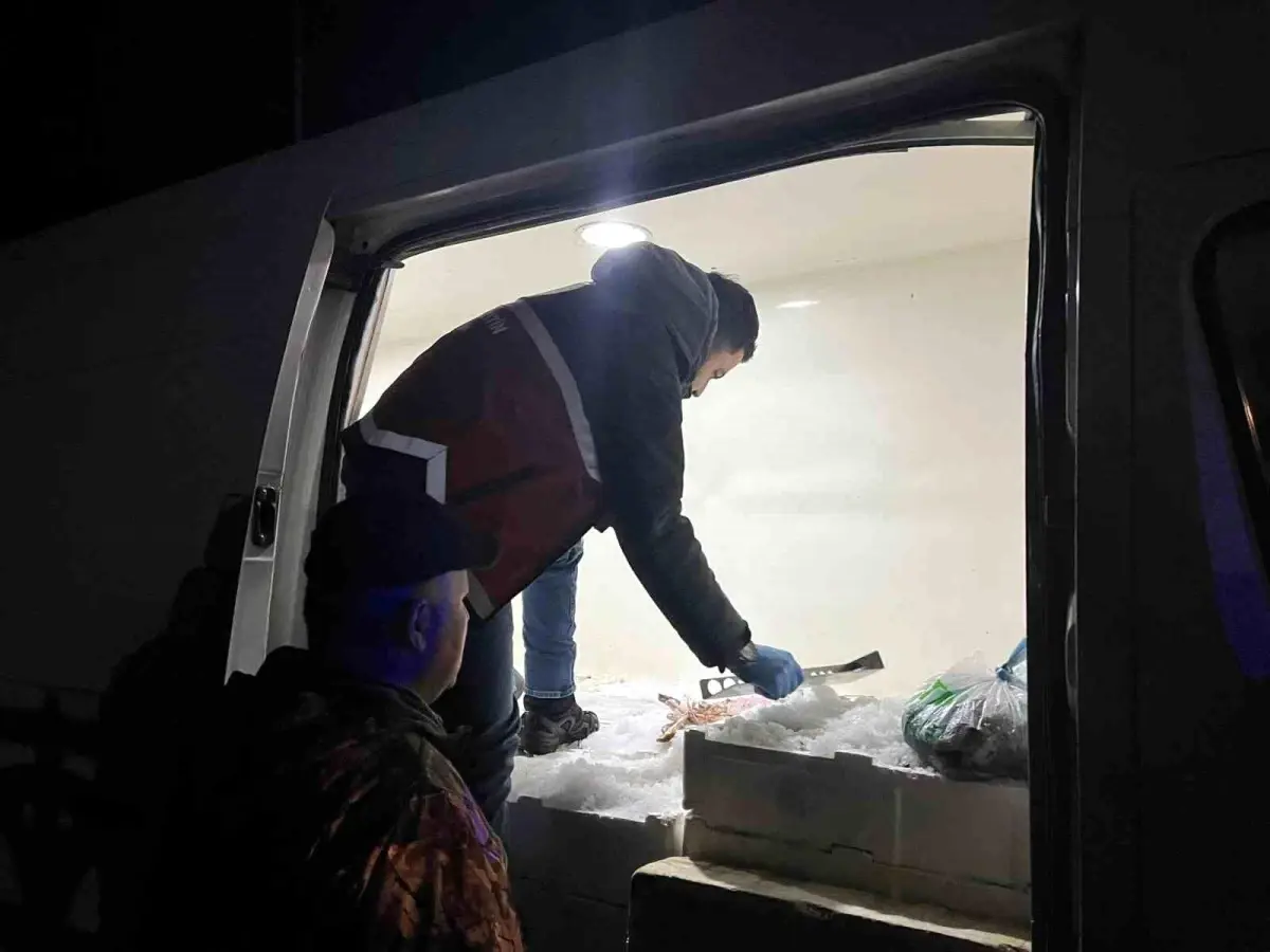 Kastamonu Çatalzeytin'de 1,3 Ton Balığa El Konuldu, Sürücüye Ağır Ceza Kesildi