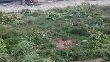 İstanbul Arnavutköy'de İSKİ Şantiyesindeki Yangın Kontrol Altına Alındı