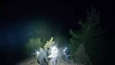 Arama ekiplerinin ormanda yürüdüğü fotoğraf