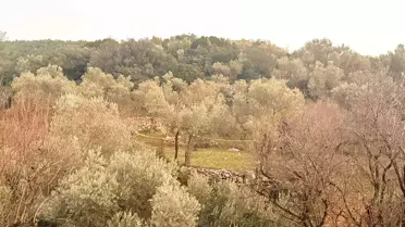 Datça’da 72 Yaşındaki Çiftçi Tarla Ziyaretinde Kalp Krizi Geçirerek Hayatını Kaybetti