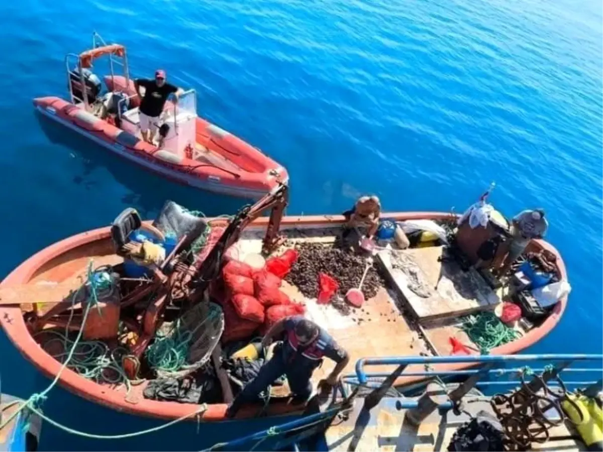 Aydın’da Su Ürünleri Denetimleri 2025’te Rekor Seviyeye Ulaştı