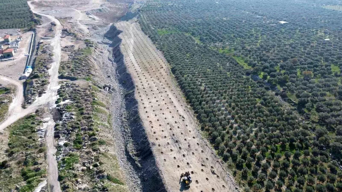 Buharkent’te İlek Bahçeleri Açıldı: Çiftçilere Uygun Fiyatlı İncir Üretimi Destekleniyor