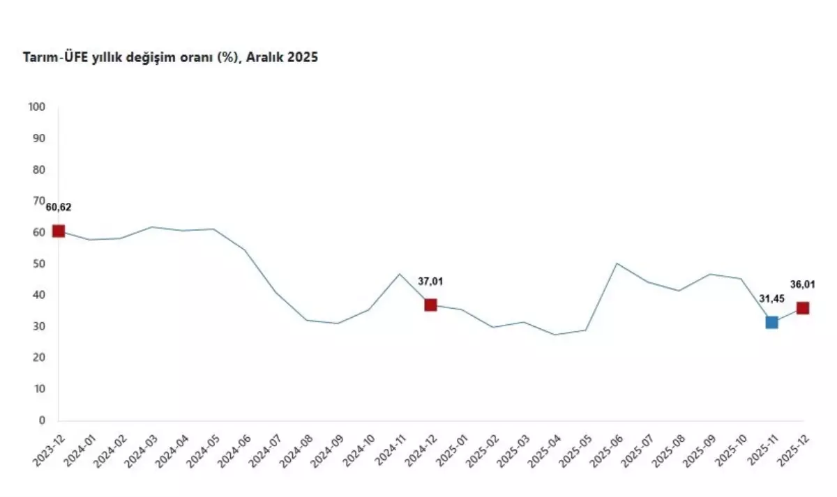 Tarım Ürünleri Üretici Fiyatları Aralık Ayında Rekor Artış Gösterdi