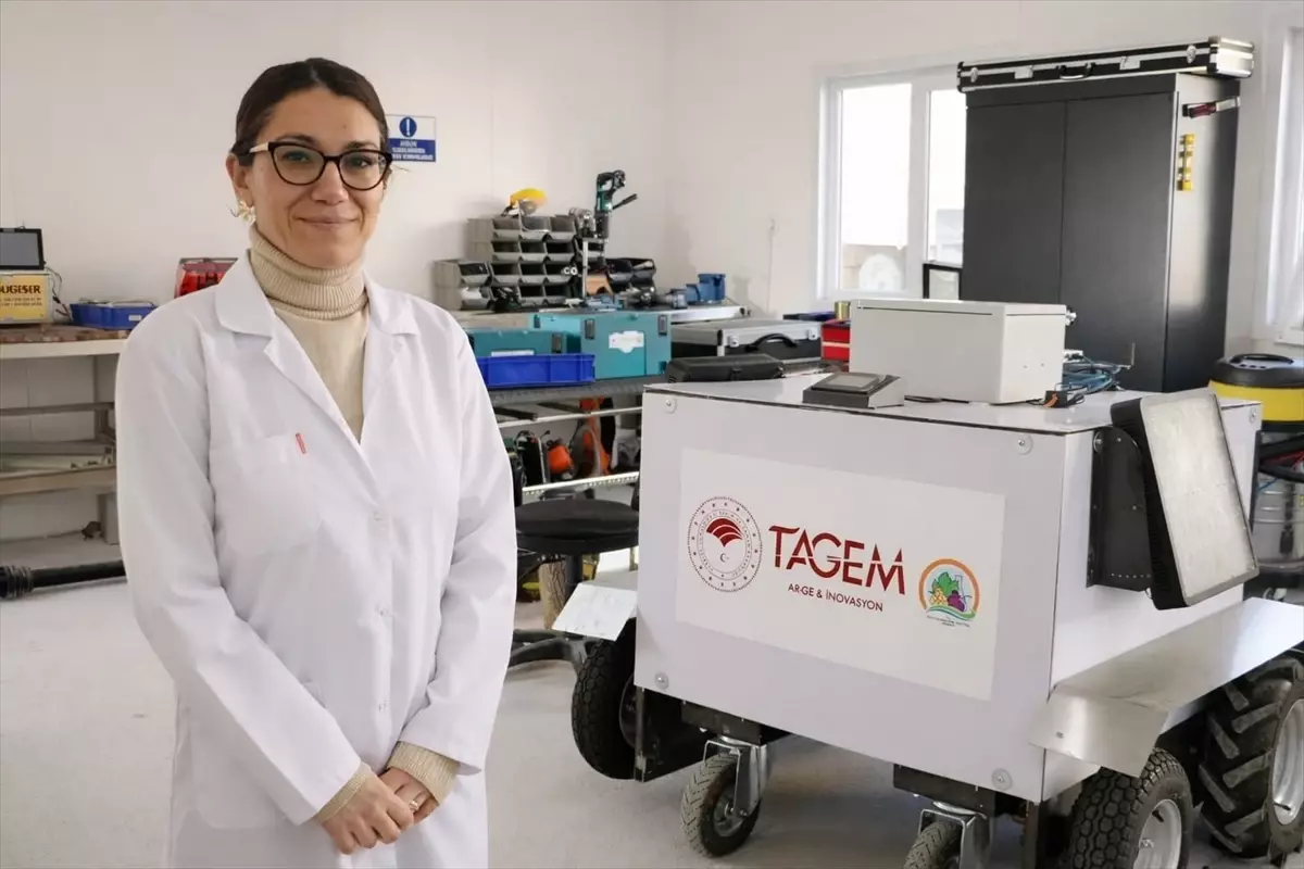 Tekirdağ’da Tarım Devrimi: Otonom Robot Üzüm Verimini Zirveye Taşıyor