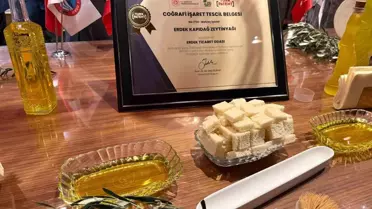 Erdek Kapıdağ zeytinyağı üretim sahası