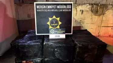 Mersin Limanı'nda ele geçirilen kokain paketleri