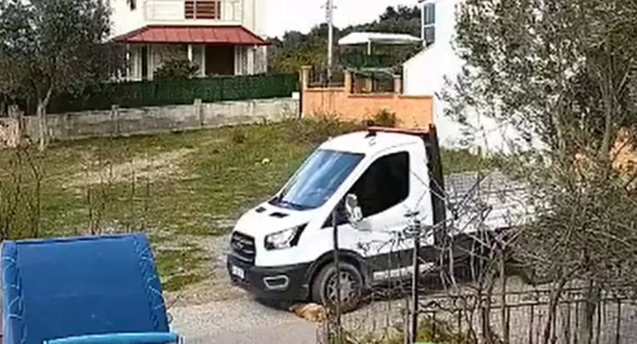 İzmir’de Kamyonet, Yolda Yatan Köpek Meks’in Üzerinden Geçti: Sürücü Harekete Geçmedi