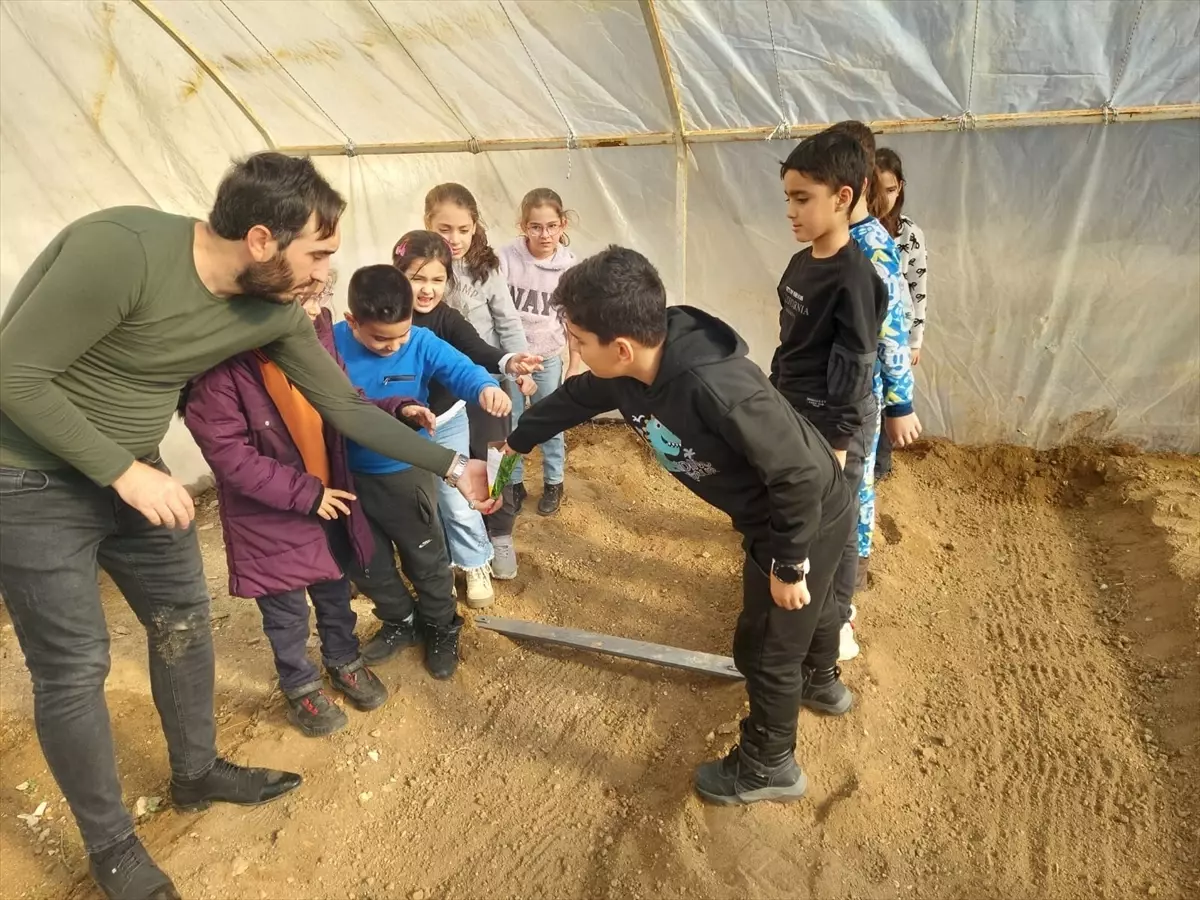 Keban’da Öğrenciler Serada Tohum Dikerek Tarım Bilincini Artırdı