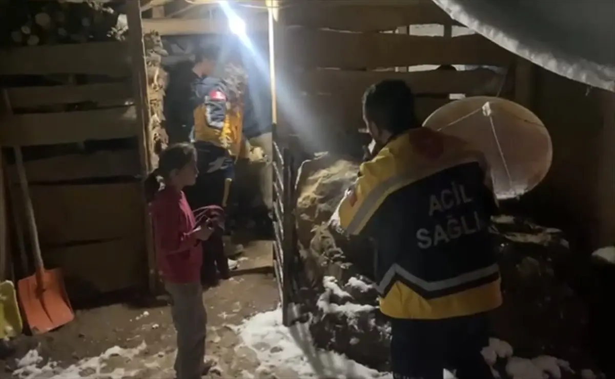 Şırnak'ta Karla Kaplanan Yolda Hastaya Zamanında Müdahale