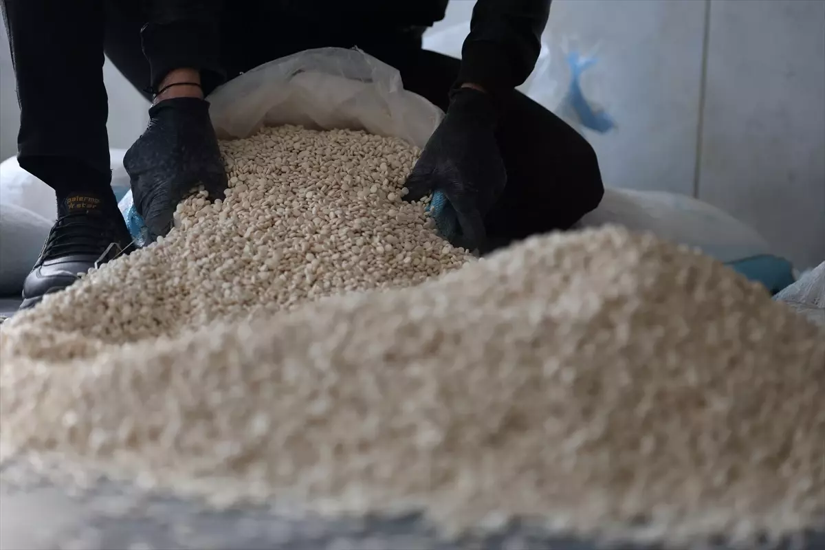 Suriye‑Irak Sınırında 2,5 Milyon Captagon Hapla Büyük Uyuşturucu Operasyonu