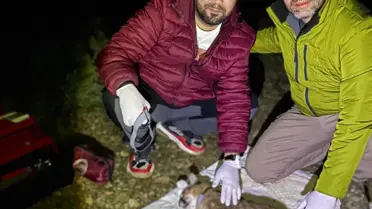 Karakulakların yaşam alanı ve davranışları