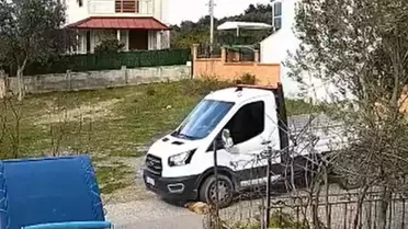 Köpek Meks'in üzerine geçen kamyonet