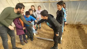 Serada ekilen tohumlar