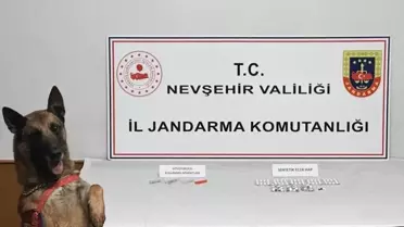 Ele geçirilen uyuşturucu haplar