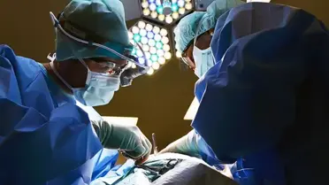 Şişli’de Organ Kaçakçılığı Operasyonu: “Teyze‑Yeğen” Oyununu Polis Çökertti