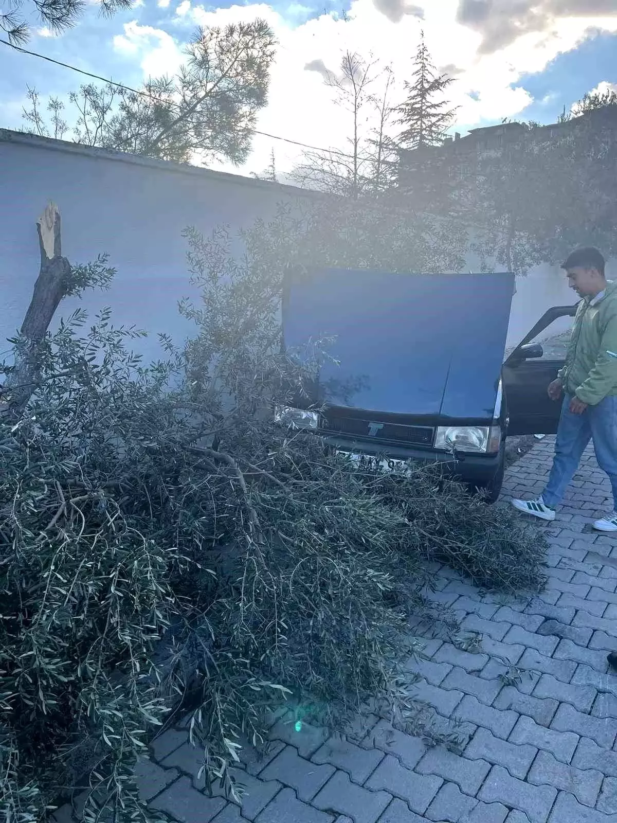Denizli'de Aşırı Hızlı Araç Zeytin Ağacına ve Duvara Çarptı