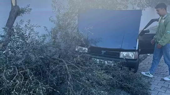 Kazanın fotoğrafı: çarpan otomobil ve duvar