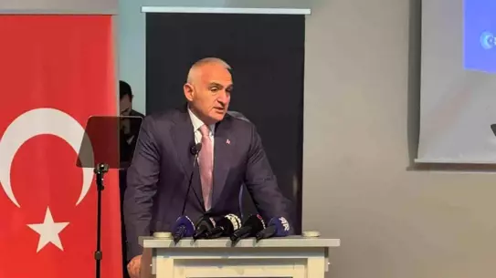 Turizm istatistiklerini gösteren grafik