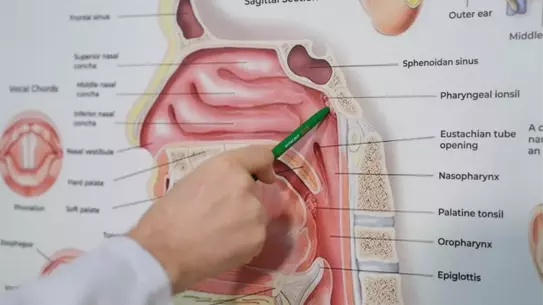 Geniz eti büyümesi ve solunum problemi