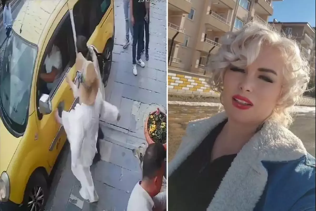 Mardinli 'Marilyn Monroe' 2 Yıl Hapis Cezası Aldı: Hayvan Koruma Davası