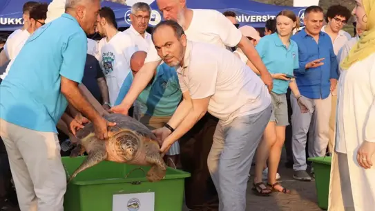 Atlas’ın 4.956 km’lik Yolculuğu: Muğla’dan Dünya Turuna