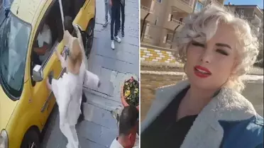 Mardinli 'Marilyn Monroe' 2 Yıl Hapis Cezası Aldı: Hayvan Koruma Davası