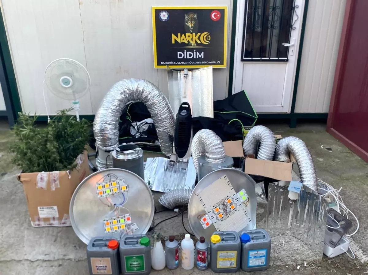 Didim'de Kenevir Yetiştiriciliği Operasyonu: İki Şahıs Gözaltında
