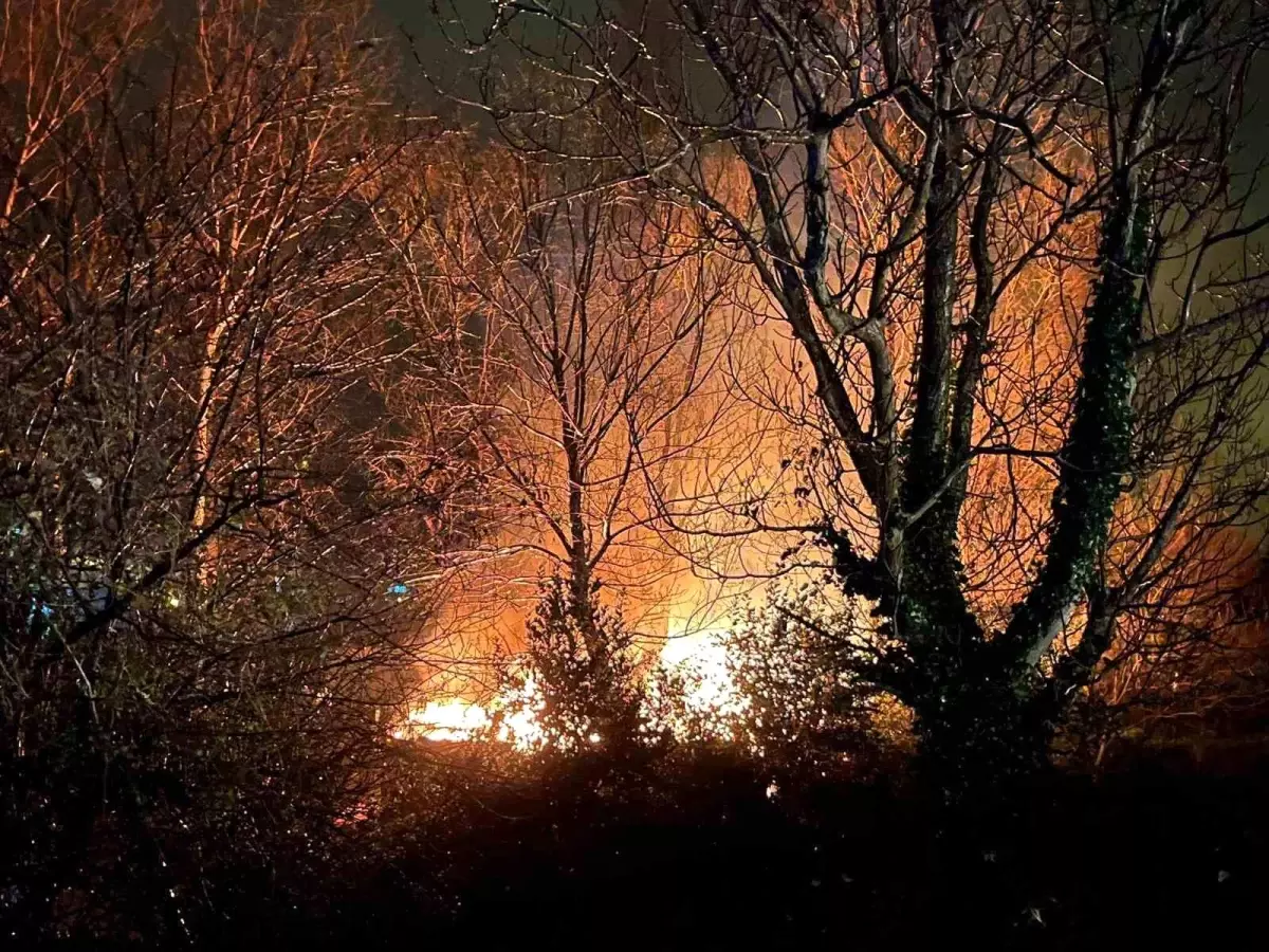 Filyos’ta Ormanlık Alanda Çıkan Yangın Hızla Söndürüldü