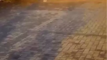 Kavga anından bir kare