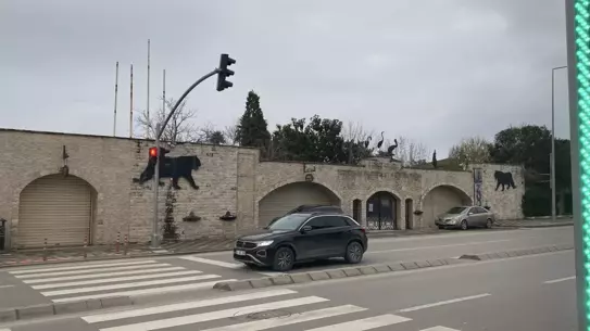 Hayvanların yeni konaklama alanları