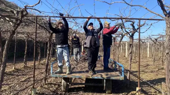 Alaşehir'de Yağmur ve Kar, Çiftçilere Umut Verdi