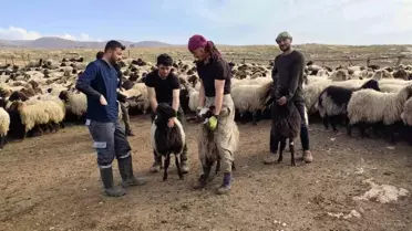 Hayvancılık aşı kampanyası