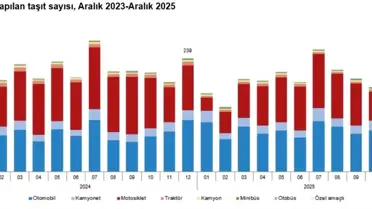2025 araç kayıt grafiği